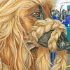 Afghan Hound Dog Diamond Painting