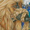 Afghan Hound Dog Diamond Painting