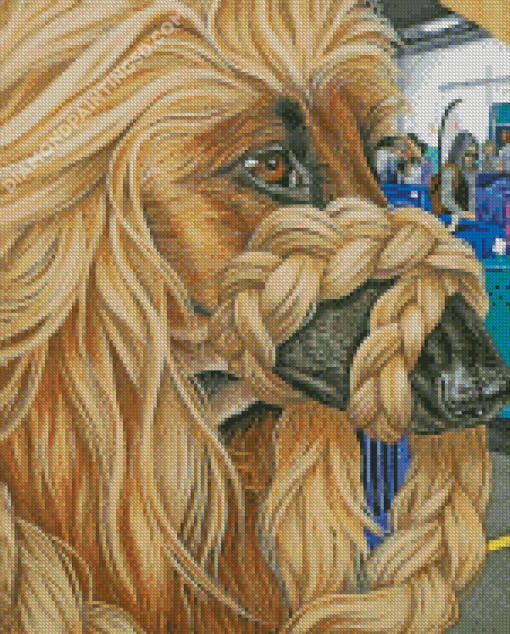 Afghan Hound Dog Diamond Painting