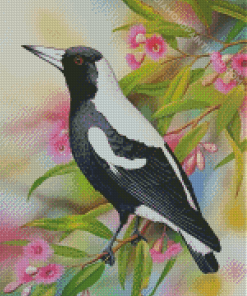 Australian Magpie And Flowers Diamond Painting