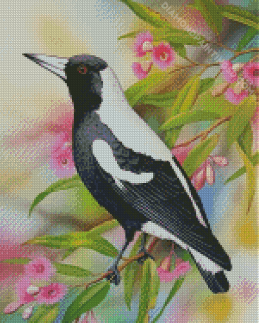 Australian Magpie And Flowers Diamond Painting