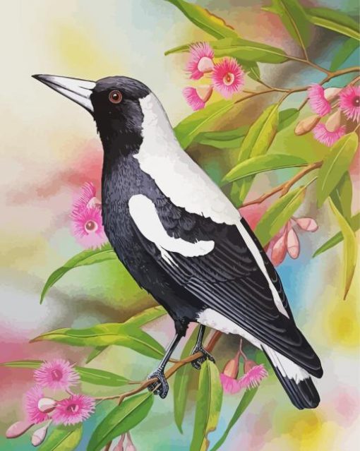 Australian Magpie And Flowers Diamond Painting