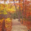 Autumn Mountain Trail Diamond Painting