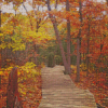 Autumn Mountain Trail Diamond Painting