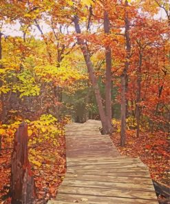 Autumn Mountain Trail Diamond Painting