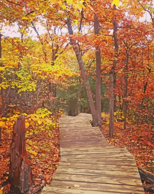 Autumn Mountain Trail Diamond Painting