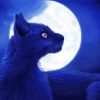 Black Cat And Moon Diamond Painting