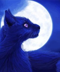 Black Cat And Moon Diamond Painting