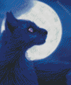 Black Cat And Moon Diamond Painting