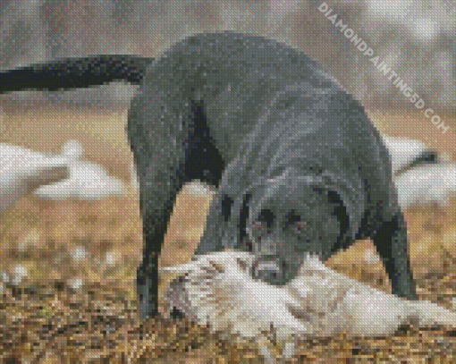 Black Dog Hunting Diamond Painting