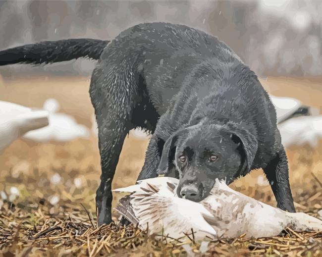 Black Dog Hunting Diamond Painting