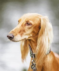 Blonde Saluki Dog Diamond Painting