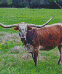 Brown Long Horn Bull Diamond Painting