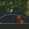 Brown Dog And Car Diamond Painting