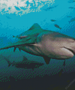 Bull Shark Diamond Painting