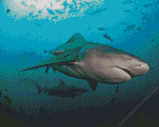 Bull Shark Diamond Painting