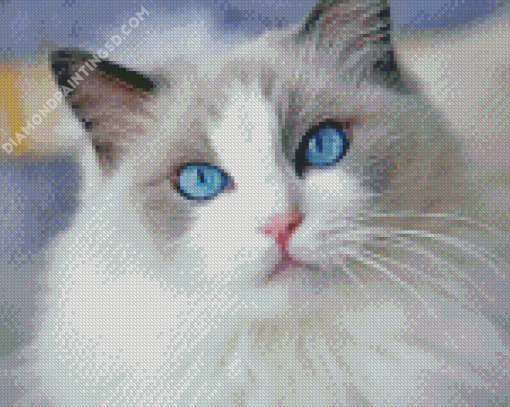 Cat With Blue Eyes Diamond Painting