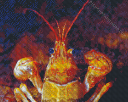 Close Up Golden Crayfish Diamond Painting