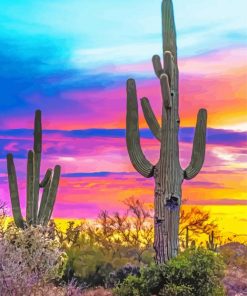 Colorful Sunset Arizona Diamond Painting