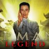 Cool Ip Man Diamond Painting