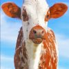 Cute Texas Cattle Diamond Painting