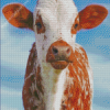 Cute Texas Cattle Diamond Painting