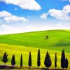 Cypress Trees Landscape Diamond Painting