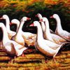 Danish Geese In The Garden Diamond Painting