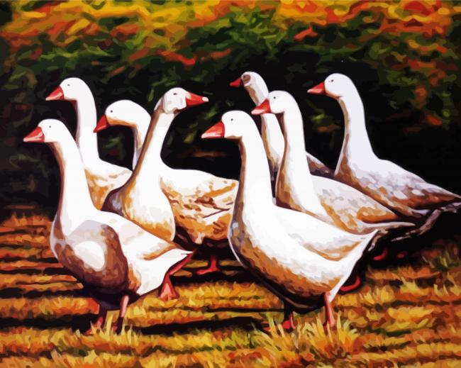 Danish Geese In The Garden Diamond Painting