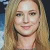 Emily Vancamp Diamond Painting