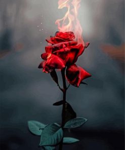 Flame Dying Rose Diamond Painting