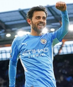 Footballer Bernardo Silva Diamond Painting