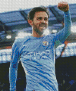 Footballer Bernardo Silva Diamond Painting