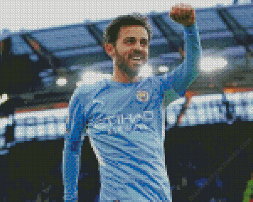 Footballer Bernardo Silva Diamond Painting