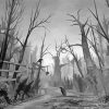 Monochrome Creepy Forest Art Diamond Painting