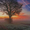 Morning Misty Sunrise Diamond Painting