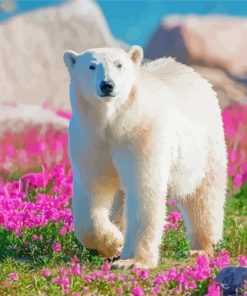 Polar Bear In Flowers Field Diamond Painting