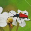 Red Beetle Diamond Painting