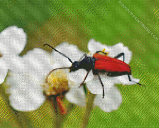 Red Beetle Diamond Painting