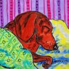 Sleeping Dachshund Diamond Painting