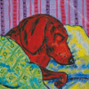 Sleeping Dachshund Diamond Painting