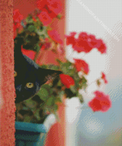 Sneak Peek Black Cats And Flowers Diamond Painting