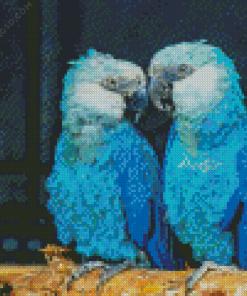 Two Blue Birds Diamond Painting