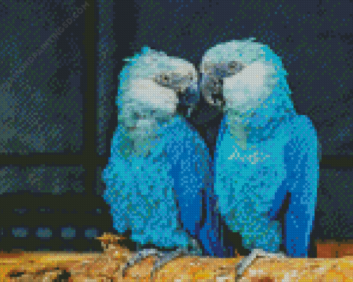 Two Blue Birds Diamond Painting