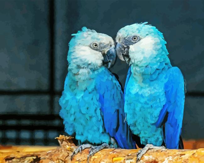 Two Blue Birds Diamond Painting