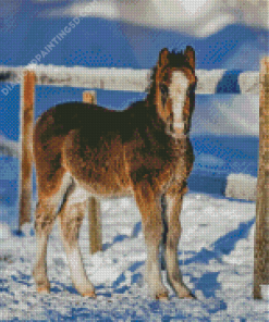 Winter Horse Foal Diamond Painting