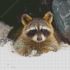 Winter Snow Raccoon Diamond Painting