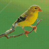 Yellow Finch Diamond Painting