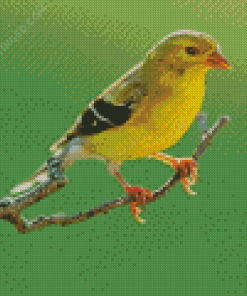 Yellow Finch Diamond Painting