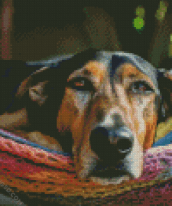 Beagle Dog On Hammock Diamond Painting